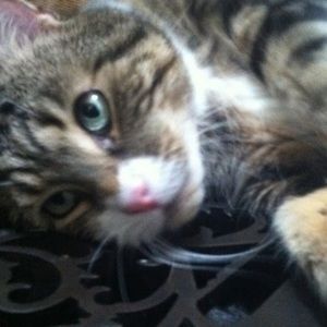 Meet your Posher, Elizabeth